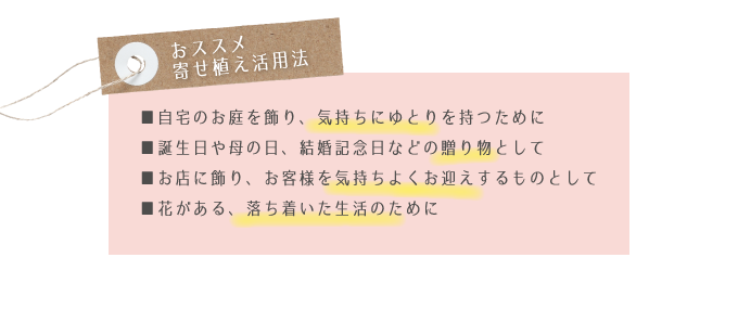 おススメ　寄せ植え活用法